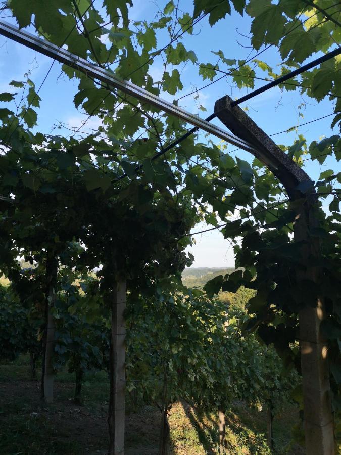Apartma Gorca Plevnik Buce Eksteriør billede